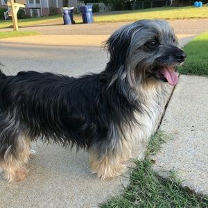 Meet your Posher, Abbi